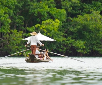 Koh Chang: Gondoltur i mangroveskogen