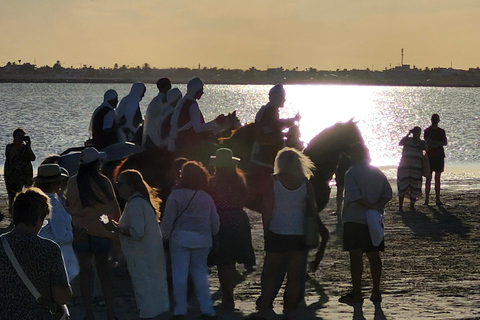 杰尔巴岛幻想曲：泻湖2小时传统马术表演