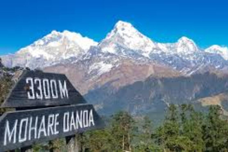Pokhara: Mohare Danda Community Eco Sunrise Trek with Guide