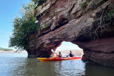 Saint John: Guided Kayaking Tour of St. Martins Sea Caves Sea Caves Half-Day Kayak Tour