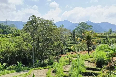 Bali: Besakih Temple and Sidemen Tour