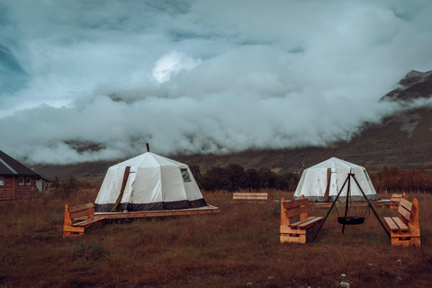 Reindeer Feeding and Sami Culture with Lunch in Autumn Tromsø: Reindeer Feeding and Sami Culture in Autumn