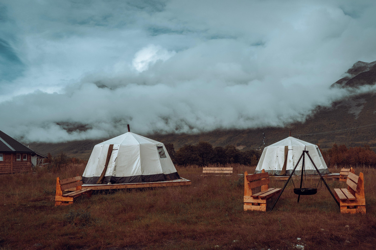 Reindeer Feeding and Sami Culture with Lunch in Autumn Tromsø: Reindeer Feeding and Sami Culture in Autumn