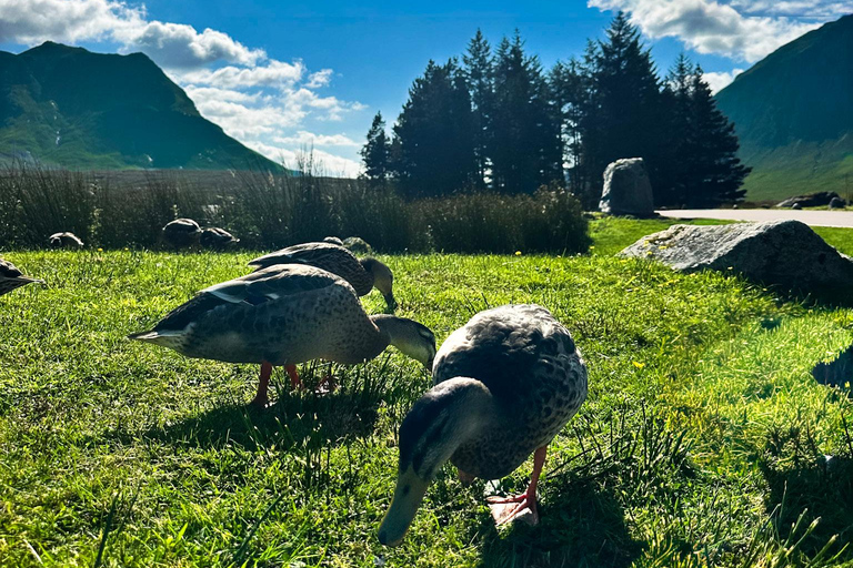 Capture Your Scottish Adventure – Professional Photography