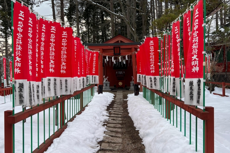 Desde Tokio: Excursión de un día privada a Nikko, Patrimonio de la Humanidad