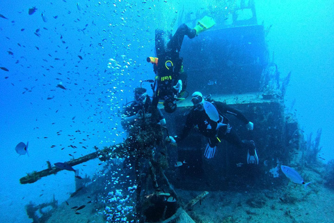 Malta: 2 guidade dyk för certifierade dykare med dykutrustning