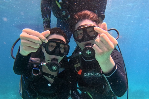 Land Tour with Scuba Diving and Paraw Sailing