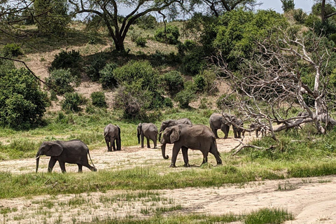Nairobi: Sunrise Safari, Breakfast, and City Walk