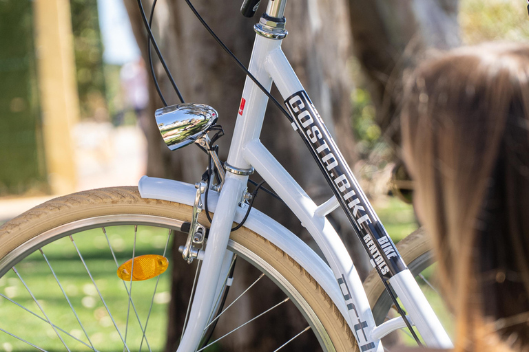 I segreti meglio custoditi di Estepona: Tour guidato della città in bicicletta