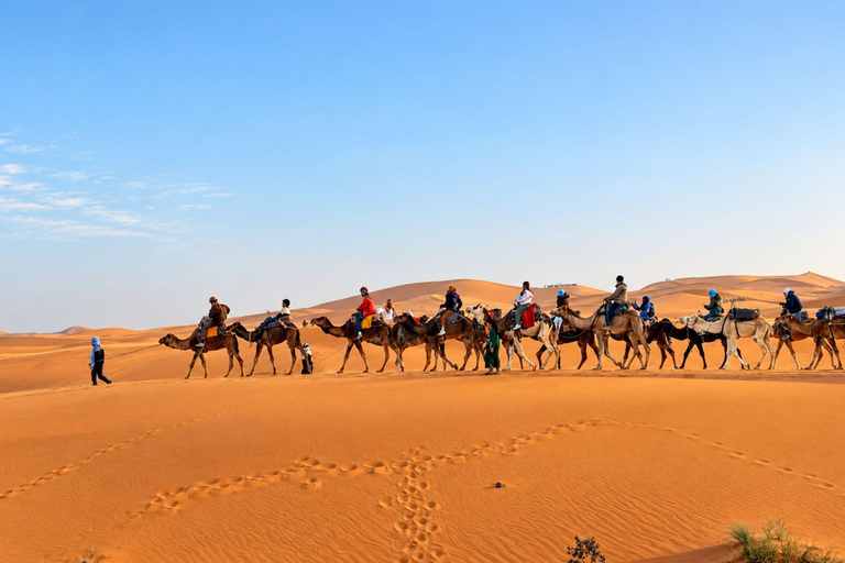 From Fes: 3-Day Merzouga Desert Tour to Marrakech Standard Desert Camp Experience (Shared Facilities)