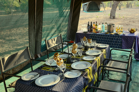 Kasane: Chobe National Park: 2 Nights Semi Luxury camping