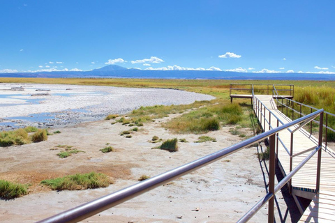 Desierto de Atacama: Refrescante Flotación en Laguna Cejar y Puesta de Sol