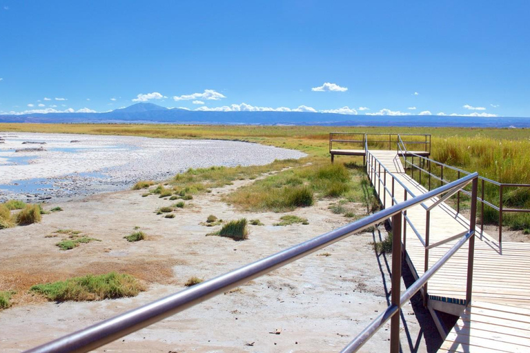 Desierto de Atacama: Refrescante Flotación en Laguna Cejar y Puesta de Sol