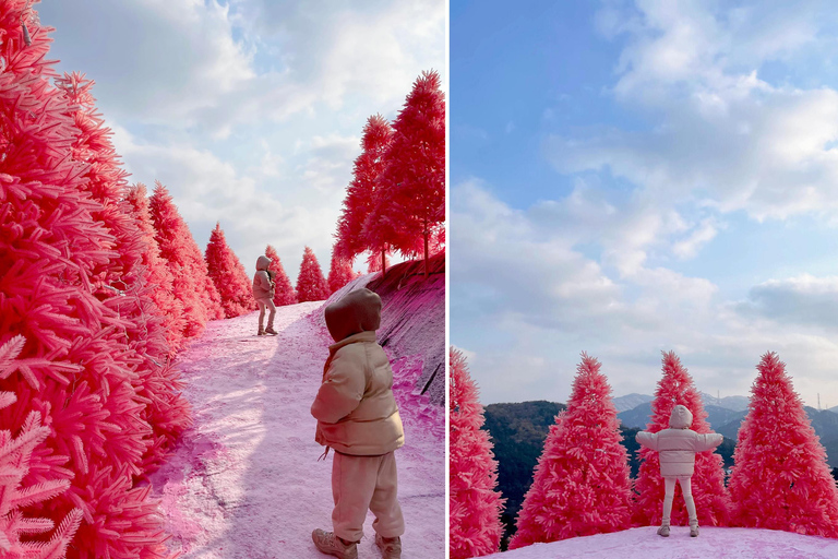 Z Seulu: Pocheon, jezioro Sanjung i jesienna wycieczka do BidulginangOdjazd ze stacji Dongdaemun H&amp;C Park, wyjście 10