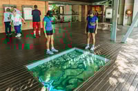 From Darwin, Kakadu Wilderness Escape Day Tour - Housity