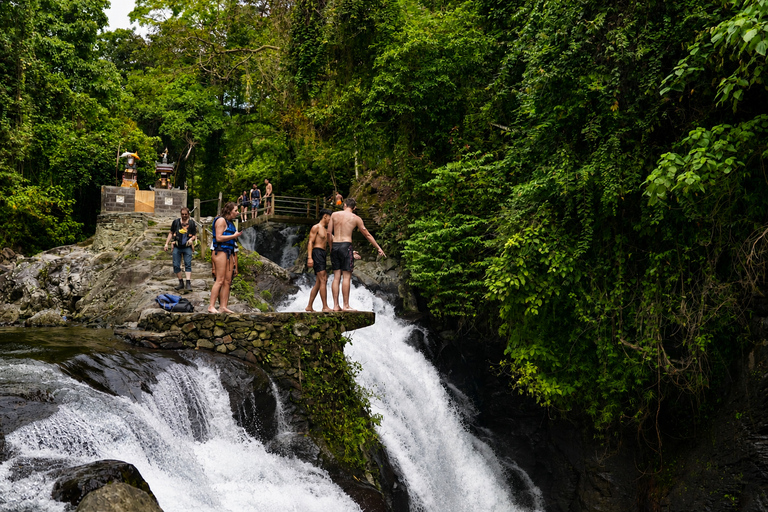 North Bali: Dolphin Swim, Snorkeling, & Waterfall Cliff Jump Small Group With Hotel Transfer Central Bali