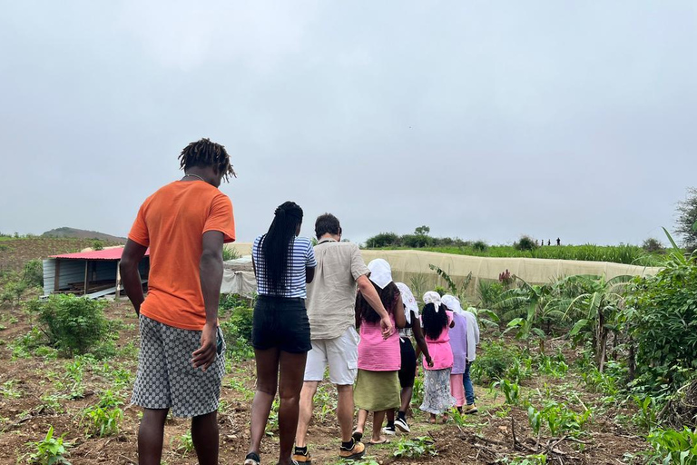 Traditional food cooking class