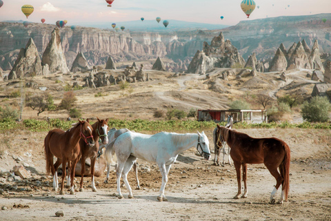 Cappadocia: Horse Riding in Red & Rose Valleys with Pickup 1-Hour Horse Ride through Red & Rose Valleys