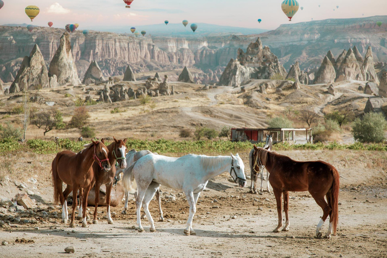 Cappadocia: Horse Riding in Red & Rose Valleys with Pickup 1-Hour Horse Ride through Red & Rose Valleys