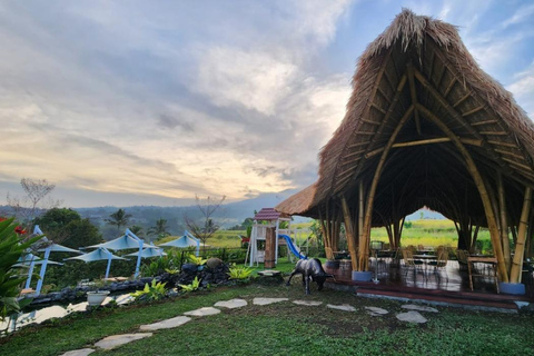 Jatiluwih: Trekking, Radfahren und Kochkurs in JatiluwihTrekking in Jatiluwih Alles inklusive