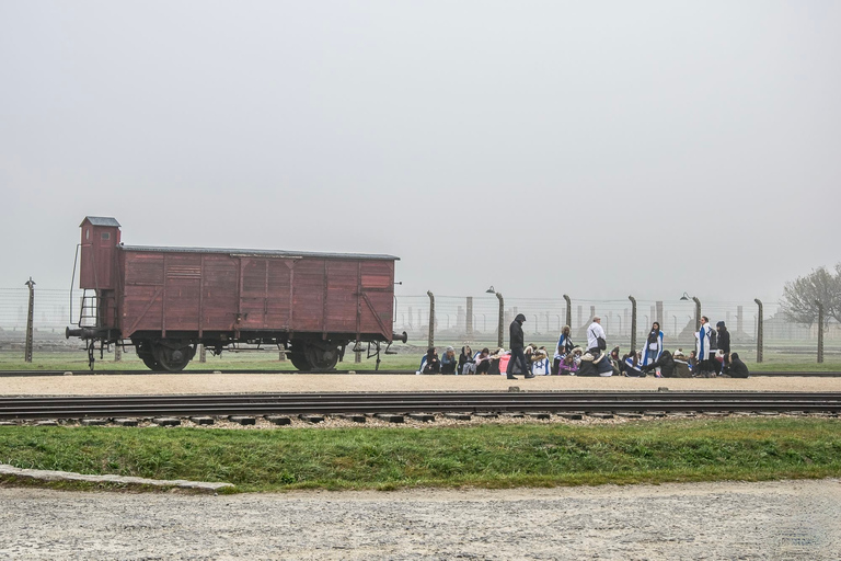 Från Krakow: Auschwitz-Birkenau-tur med transport