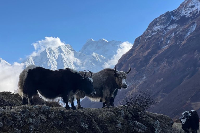 Valle del Tsum: Trekking de 16 días