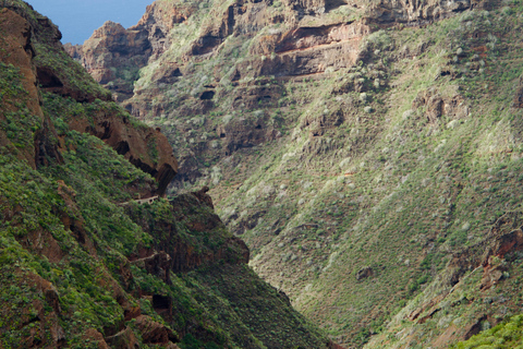 Tenerife: Anaga Hidden Gems Tour with Free Pickup Explore Anaga's hidden gem. Private tour.