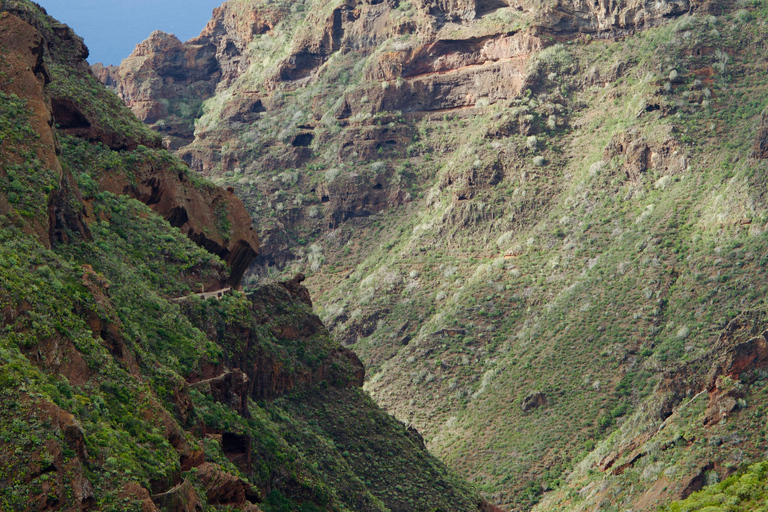 Tenerife: Anaga Hidden Gems Tour with Free Pickup Explore Anaga's hidden gem. Private tour.