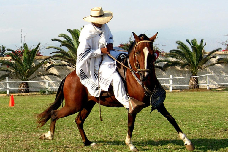 Trujillo: Chan Chan + Paseos a caballo + Huanchaco