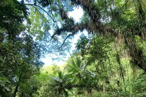 Outdoor hiking Martinique