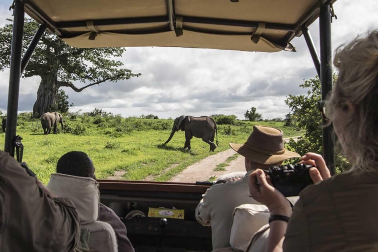8 dni Odkryj Kenię Safari z 4x4 Land Cruiser Jeep