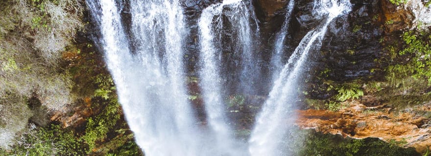 Côte d'Or : Excursion d'une journée aux 6 cascades, aux koalas et au pont naturel