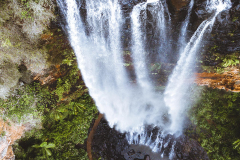 布里斯班：斯普林布鲁克七瀑布与天然桥之旅布里斯班：斯普林布鲁克七瀑布与天然石桥游览