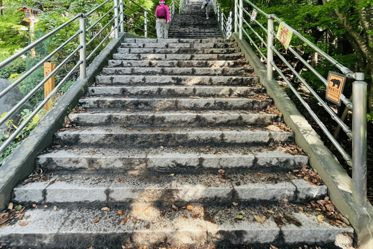 Tokyo: Monte Fuji e Hakone Tour privato flessibile e a basso prezzo