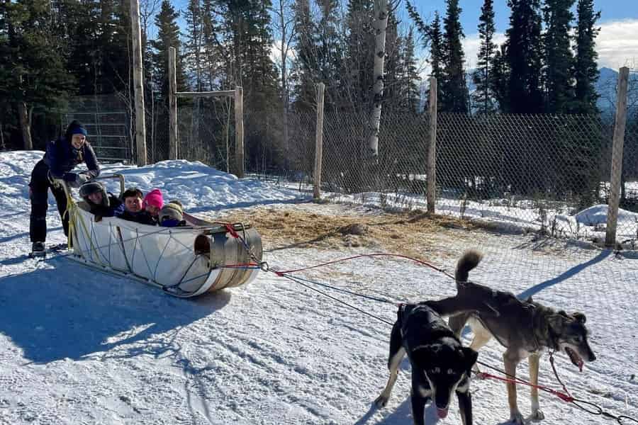 Whitehorse: Tagestour mit Hundeschlittenfahrt & indigener Kultur. Foto: GetYourGuide Whitehorse: Tagestour mit Hundeschlittenfahrt & indigener Kultur. Foto: GetYourGuide