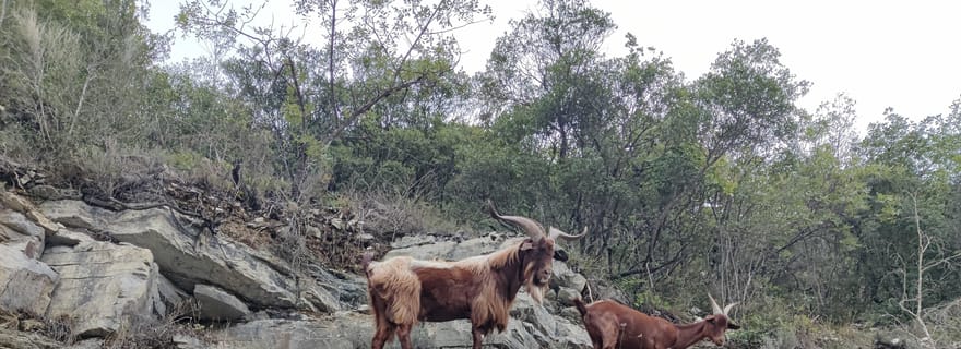 Excursion dans la Vallée de la Vésubie depuis Nice