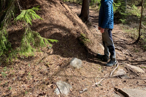 Oslo: escursione guidata nel Parco Nazionale di Østmarka con cibo cotto sul fuocoOslo: escursione guidata al Parco Nazionale di Østmarka con cibo sul fuoco