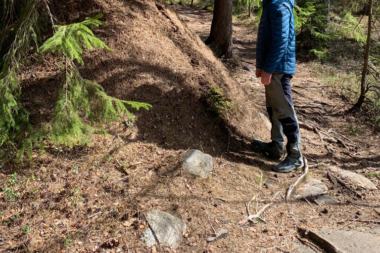 Oslo: escursione guidata nel Parco Nazionale di Østmarka con cibo cotto sul fuocoOslo: escursione guidata al Parco Nazionale di Østmarka con cibo sul fuoco