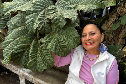 San José: Private Poás Volcano & La Paz Waterfall Experience