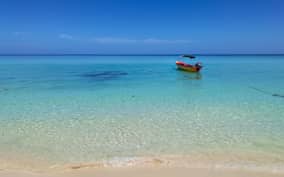  - Canarie.it
