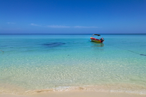 Negril: Ultimate West Coast Adventure & Local Guided Trip