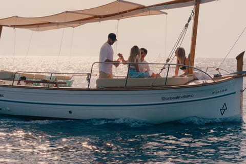 Port Andratx: Private umweltfreundliche Bootsfahrt mit lokalem Picknick