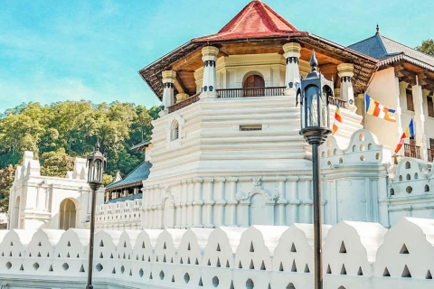 Kandy : Visite touristique et shopping en Tuk Tuk