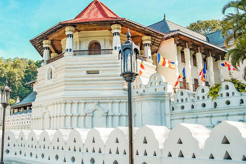 Sri Lanka: Tour culturale guidato di Kandy e Colombo