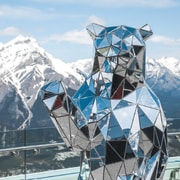 Banff/Calgary: Parque Nacional de Banff e Johnston Canyon Tour de 1 dia