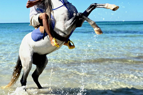 Aruba: Hidden Desert & Ocean Horseback Adventure Western Ride