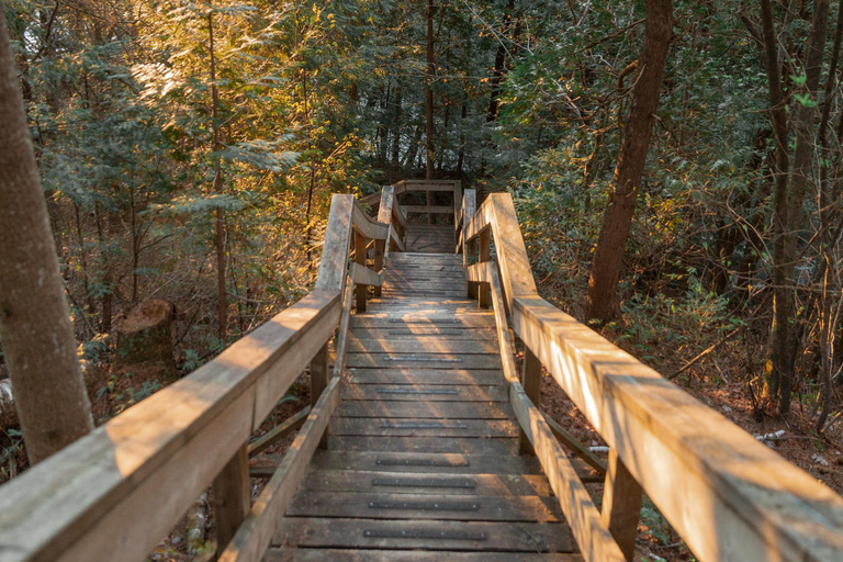 Waterfall Hike at Monte-à-Peine Park