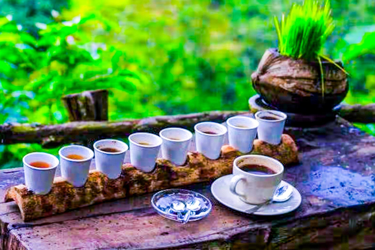 Bali: Graceful Art, Sacred Forest, Serenity and Lotus Bloom