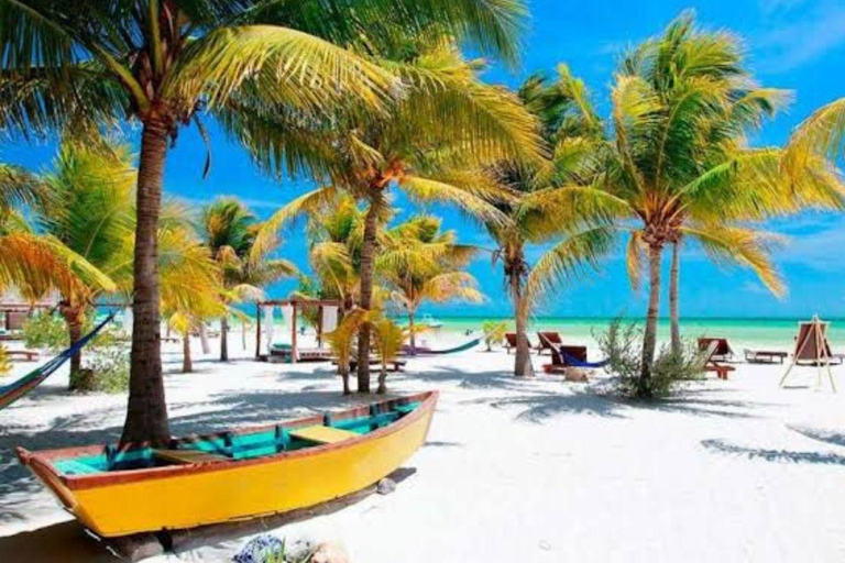 Cancun: Holbox Island Tour with Cenote Visit & lunch