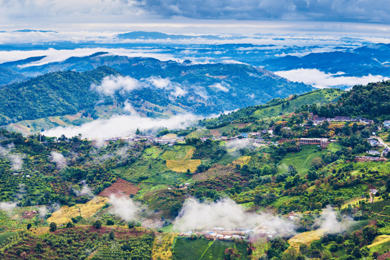 Chiang Mai: Chiang Rai &amp; Doi Mae Salong Tea Plantation Tour